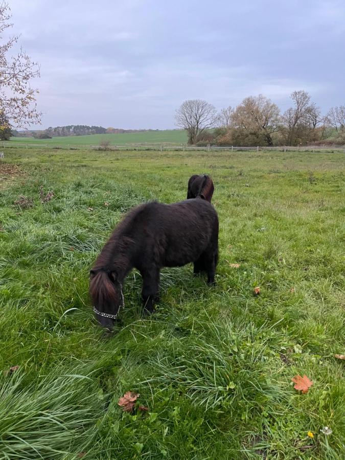 Gutshauszimmer Premium Neu Gaarz Esterno foto